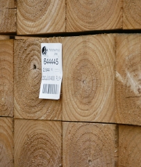 植林・伐採された50cm角8Mの長尺フリッチ木材